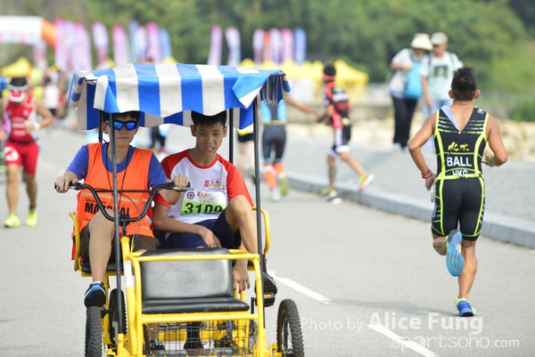 alice_ALF8502