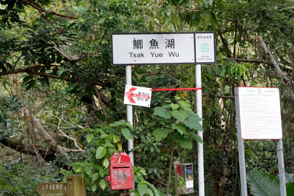 sportsoho運動版圖