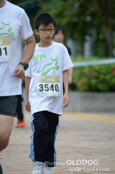 Heifer3 (23)