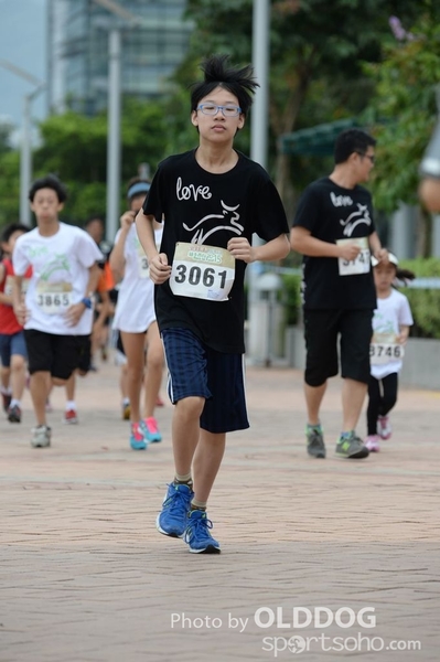 Heifer3 (31)