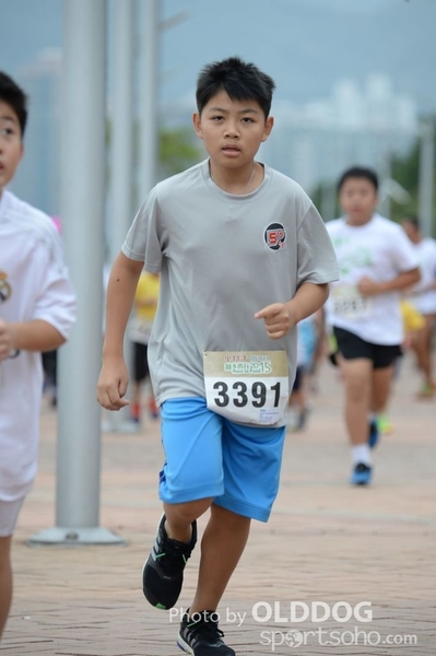 Heifer3 (38)