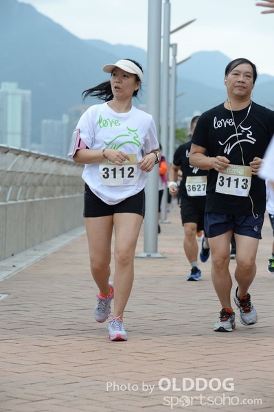 Heifer3 (53)