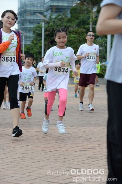 Heifer3 (61)
