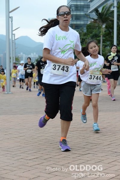 Heifer3 (75)