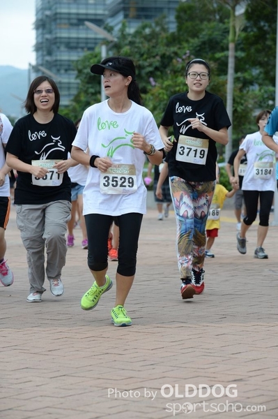 Heifer3 (128)