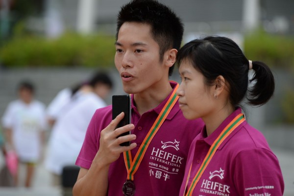 Heifer3 (803)