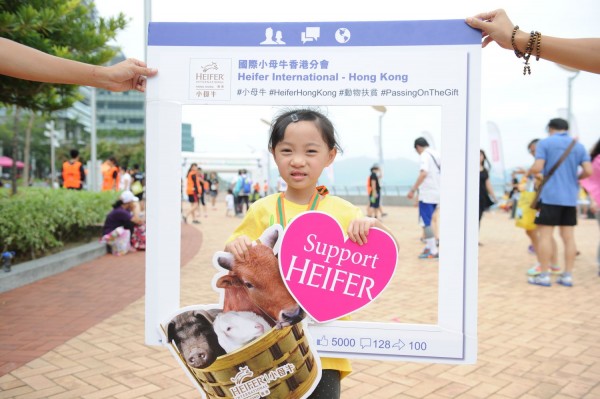 Heifer3 (821)