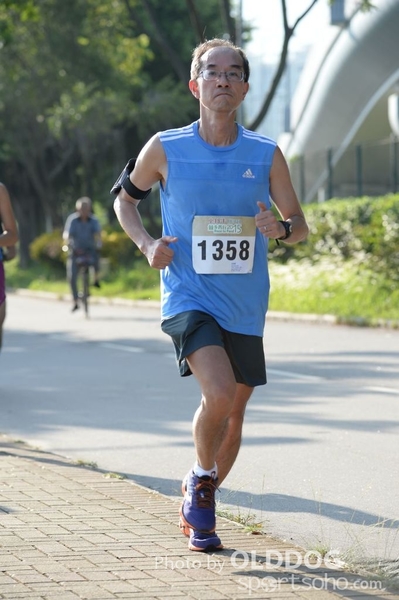 Heifer10 (73)