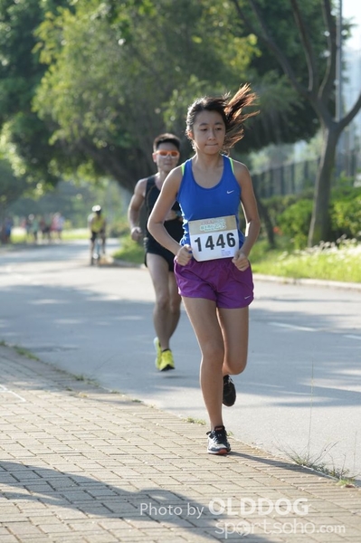 Heifer10 (74)