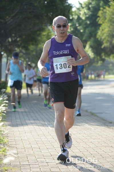 Heifer10 (75)
