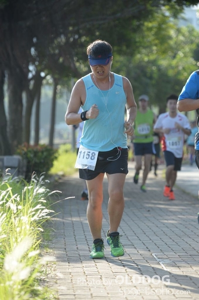 Heifer10 (76)
