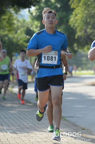 Heifer10 (77)