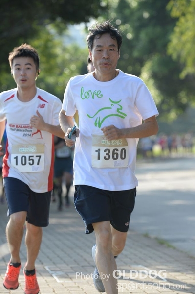 Heifer10 (79)