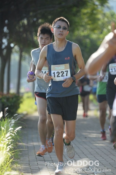 Heifer10 (85)