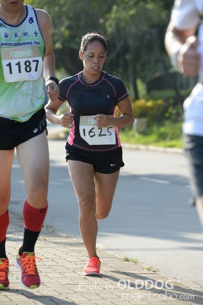 Heifer10 (90)