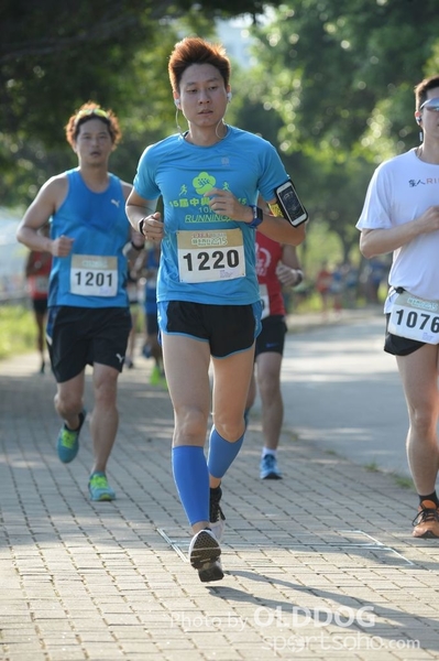 Heifer10 (91)