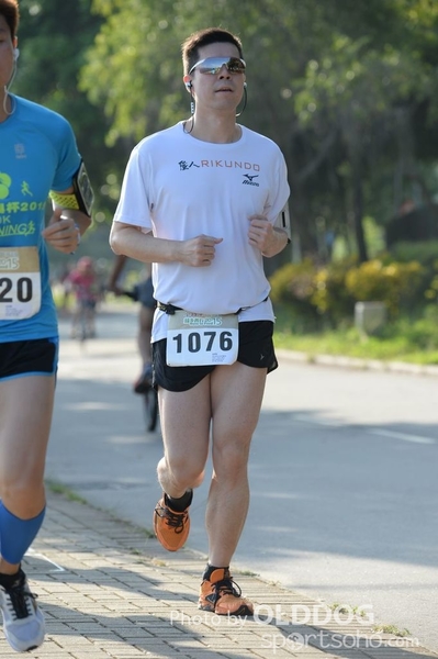 Heifer10 (92)