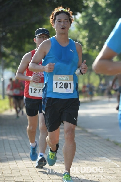 Heifer10 (93)