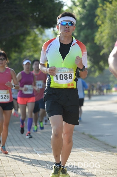 Heifer10 (100)