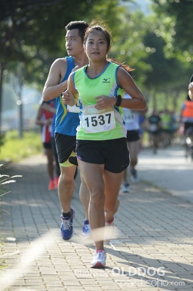 Heifer10 (112)