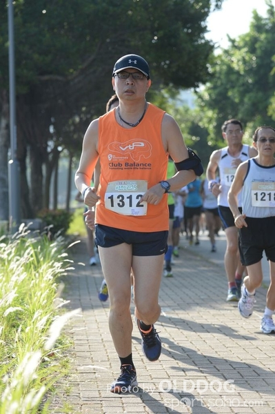 Heifer10 (127)