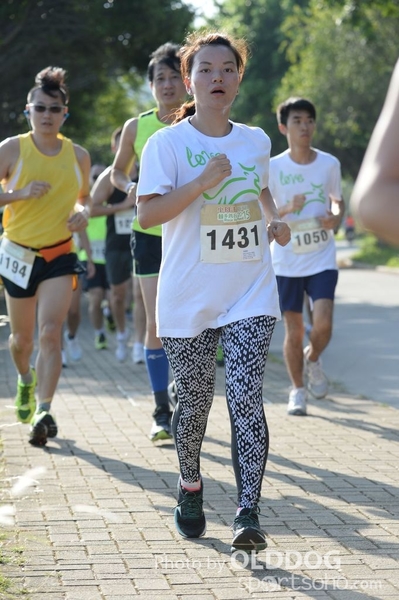Heifer10 (131)