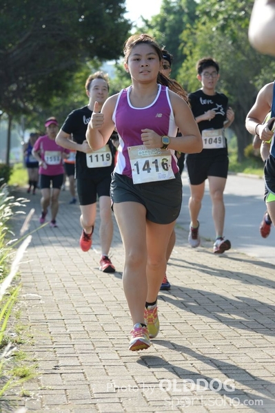 Heifer10 (139)