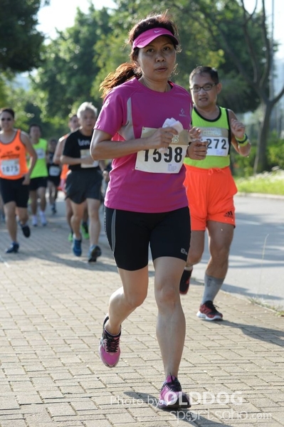 Heifer10 (142)