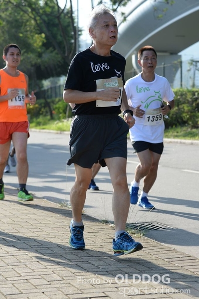 Heifer10 (144)