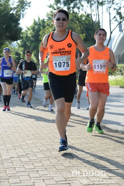 Heifer10 (145)