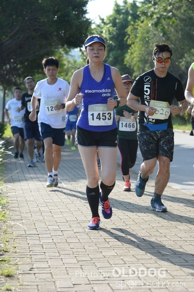 Heifer10 (146)