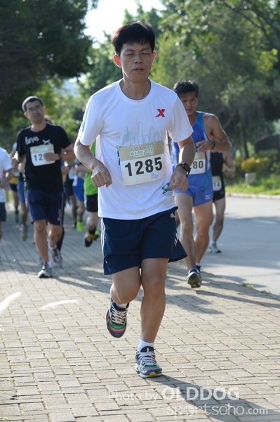Heifer10 (149)
