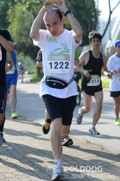 Heifer10 (151)