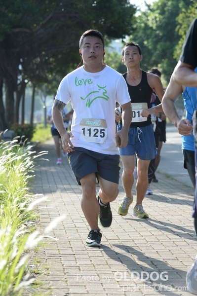 Heifer10 (152)