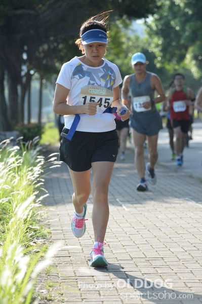 Heifer10 (155)