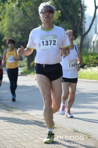 Heifer10 (156)