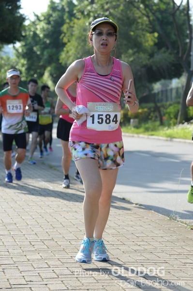 Heifer10 (158)