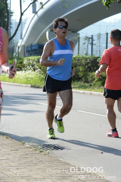 Heifer10 (159)
