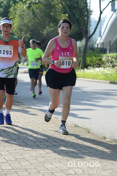 Heifer10 (160)
