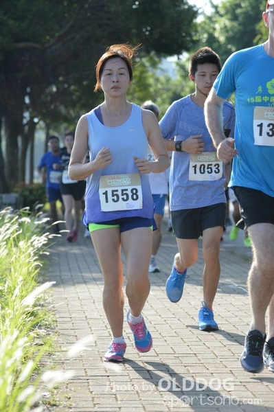 Heifer10 (163)