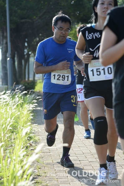 Heifer10 (169)