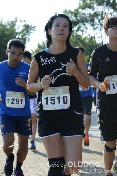 Heifer10 (170)