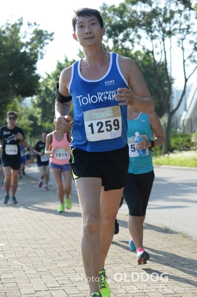 Heifer10 (172)