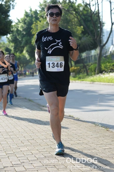 Heifer10 (175)