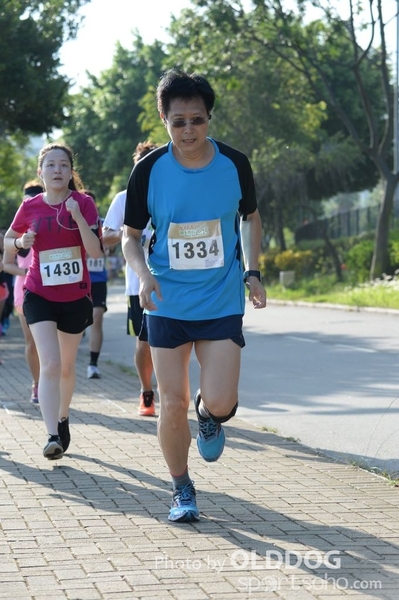 Heifer10 (178)