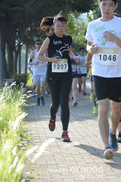Heifer10 (193)