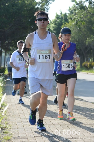 Heifer10 (195)