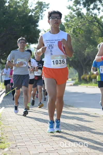 Heifer10 (196)