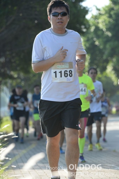 Heifer10 (217)
