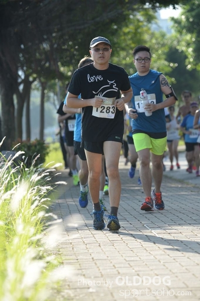 Heifer10 (221)